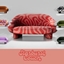[Zha.na] Funky Couch logo