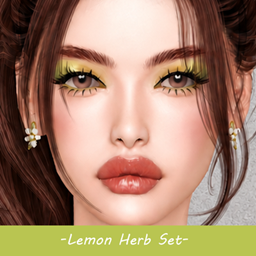 Lemon Herb Set project image