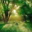 Rooted in the Wild (Green)  logo
