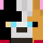 Biome Expansion_ logo