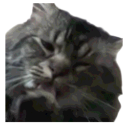 Updated waffle cat PvP item logo