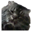 Updated waffle cat PvP item logo