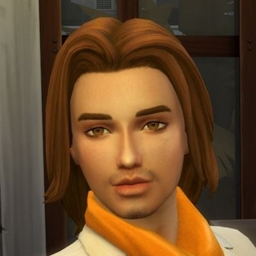 Alexander Hairstyle project image