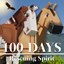 Pinehaven's 100 Days Spirit Horse Rescue logo