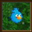 Bird Zoom logo