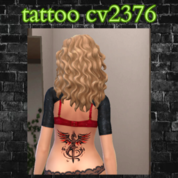 tattoo cv2376 project image