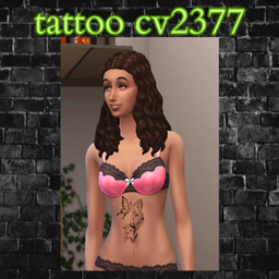 tattoo cv2377 project image