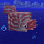 Realistic Nautilus logo
