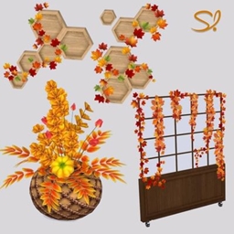 Autumn Chords - Decor 🏵️🍁 logo