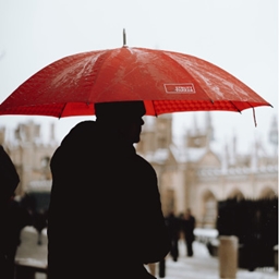 Wet project image