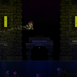 In the Pursuit of Shadow
