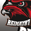 Reinays Ore logo