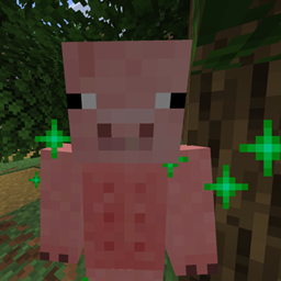 Pig villages