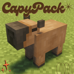 CapyPack  project image