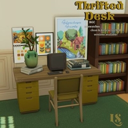 [LS] Thrifted Desk project image