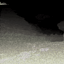 Lidar Scan [ Horror ] logo