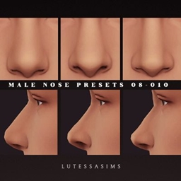 Male Nose Presets 08-010 project image
