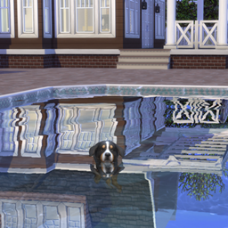 Only Train and Play Fetch Dog Outside project image