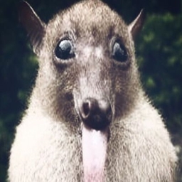 Rat Magick logo