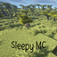 Eepy Sleepy Escapades logo