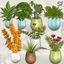 Chlorophyll Plants FULL SET  logo