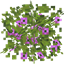 Arborea logo