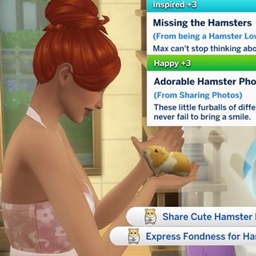 Hamster Lover Trait project image