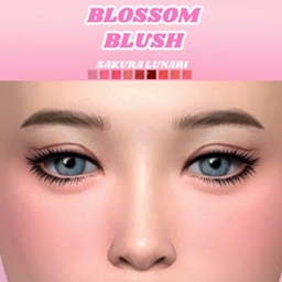 Blossom Blush logo