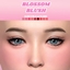Blossom Blush logo