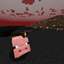 Pig biome logo