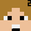 Wigman Skins 2 logo
