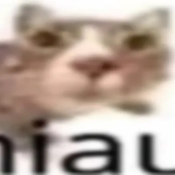 miaumiau logo