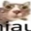 miaumiau logo