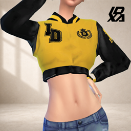 IDxA VarsityJacket Croptop logo