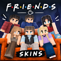 Friends Skin project image