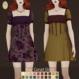 Briar Corset Dress project image