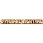 Zeonn's Dynamic Light logo
