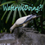 WaterWeDoing?! logo