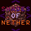 Shades Of Nether logo