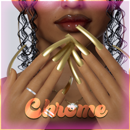XXL_CurvedCoffin_ChromeNails project image
