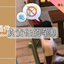 Responsible Pregnancy Addon-CH | 負責任的孕期-CH logo