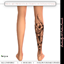 Butterfly V8 Tattoo Female logo