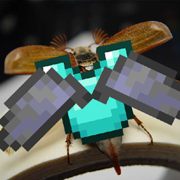 Elytraswap Serverside project image