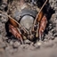 Baby in the Gutter 64 logo