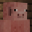 Pig villages logo