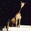 CreepyHorse/LongHorse addon logo