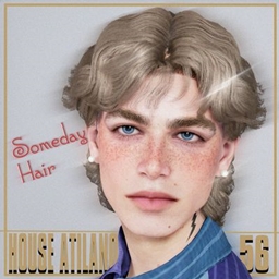 "Someday" Hair | A Men's Mullet Hairstyle #56 project image