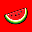Watermelon Better UI logo
