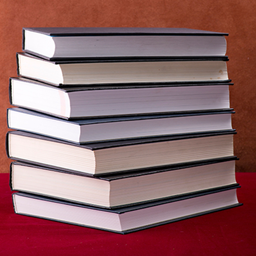 Library Archives logo