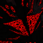 Integrity Smash Mix For The Broken Script logo